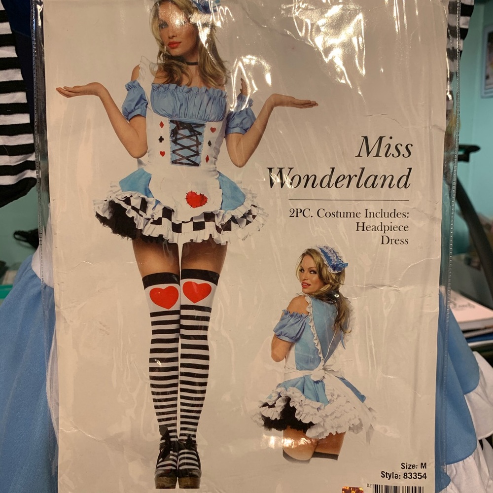 Miss wonderland ladies costume.